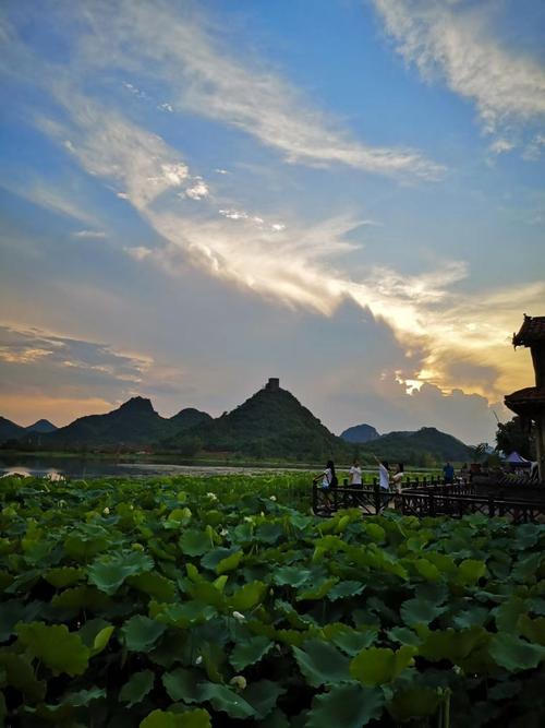 普者黑最佳旅游时间_自驾普者黑旅游攻略,普者黑最佳旅游时间