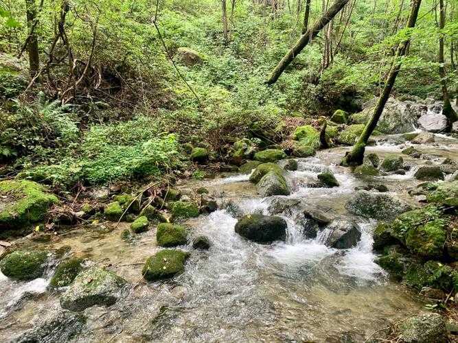 沈阳周边自驾最好地方_沈阳周边自驾最好地方有哪些