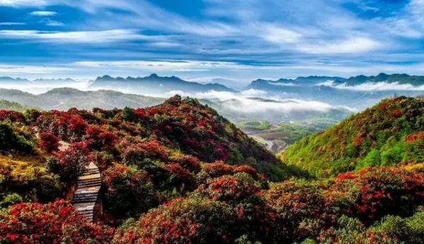 毕节旅游景点排名前十-毕节旅游景点排名前十名