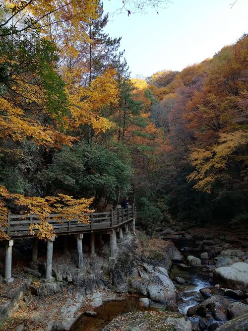 汉中光雾山风景区旅游攻略-汉中光雾山风景区旅游攻略中国邮政快递