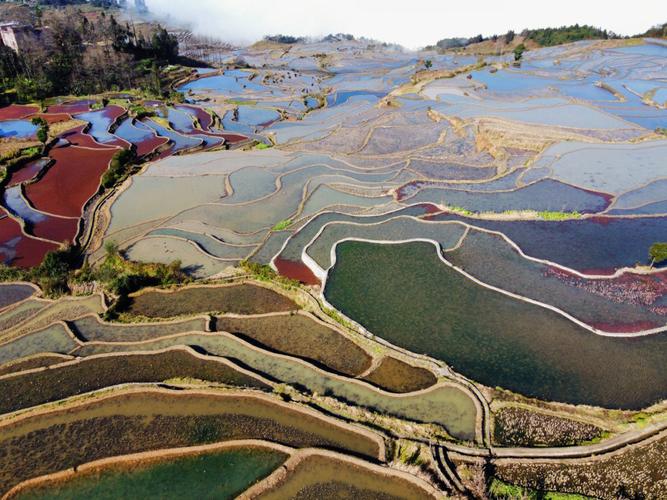 云南元阳梯田最佳旅游季节_元阳梯田最好的季节是何时