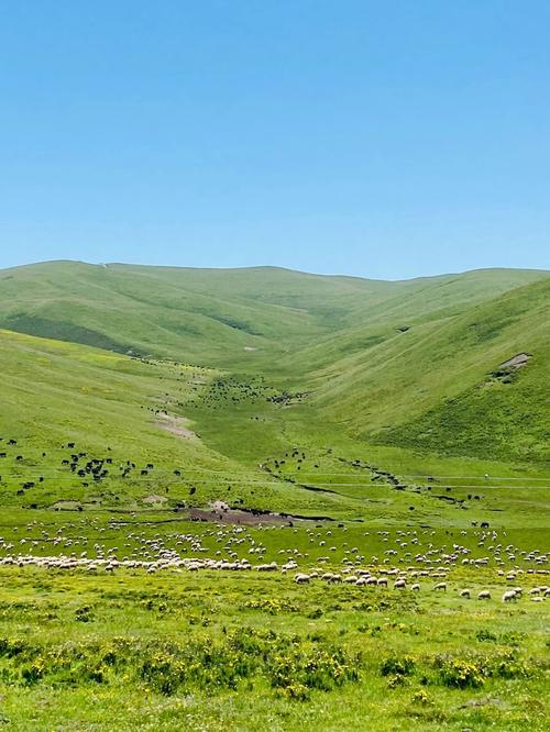 大草原图片风景图片_若尔盖大草原图片风景图片